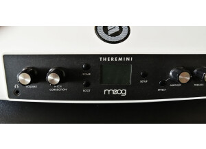 Moog Music Theremini (99189)