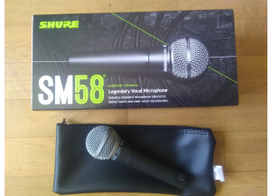 SHURE SM58.1