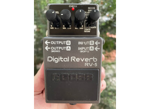 Boss RV-5 Digital Reverb (14202)