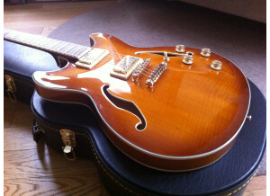 IBANEZ AS93VLS sur étui ELYPSE JC450MB-B (corps)