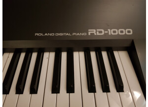 Roland RD-1000