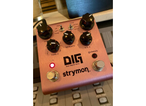 Strymon DIG (94405)