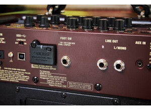 AC-22LX Acoustic AmplifierREAR