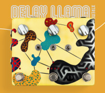 Custom Delay Llama 1