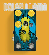 Custom Delay Llama 2