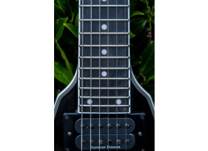 EpiphoneMustaineVCustom-15