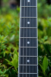 EpiphoneMustaineVCustom-16 EpiphoneMustaineVCustom-16