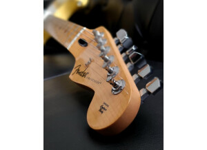 Fender Player Stratocaster (60018)