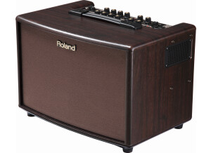 Roland AC-60-RW
