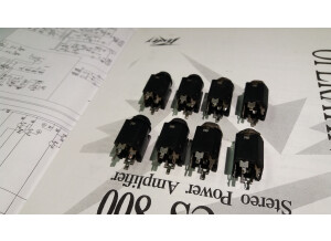 Peavey CS 800X (96581)