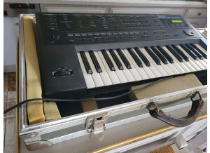 Roland PRO-E (65184)