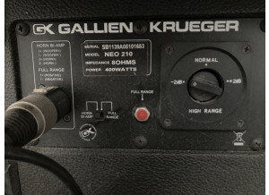 Gallien Krueger Neo 210 (89004)