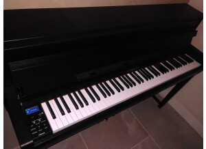 WhatsApp Image 2023-08-05 à 17.57.58 2