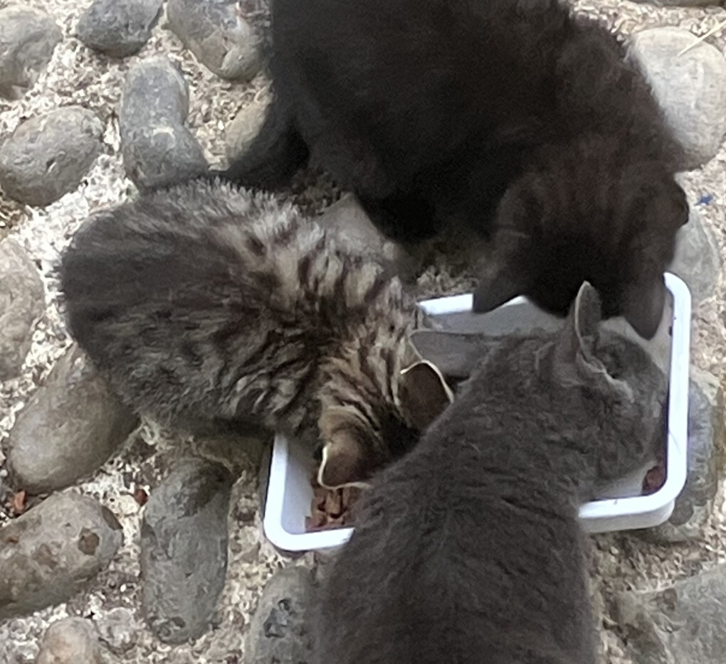 5767947.jpeg 5767947.jpeg