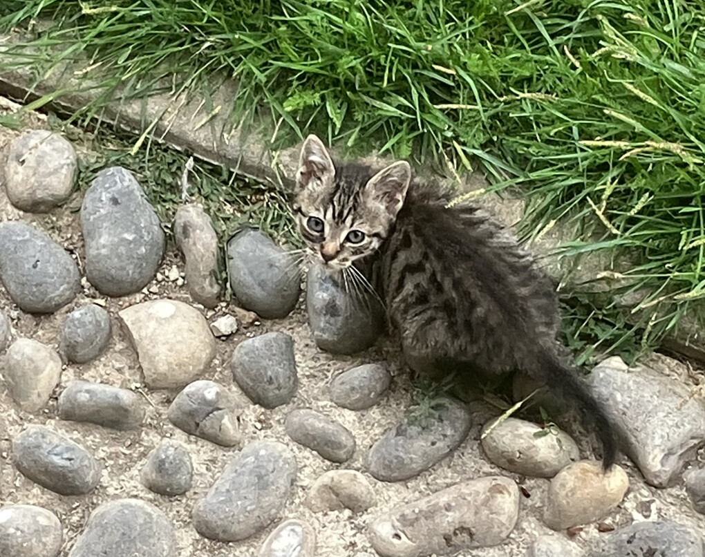 5767949.jpeg 5767949.jpeg