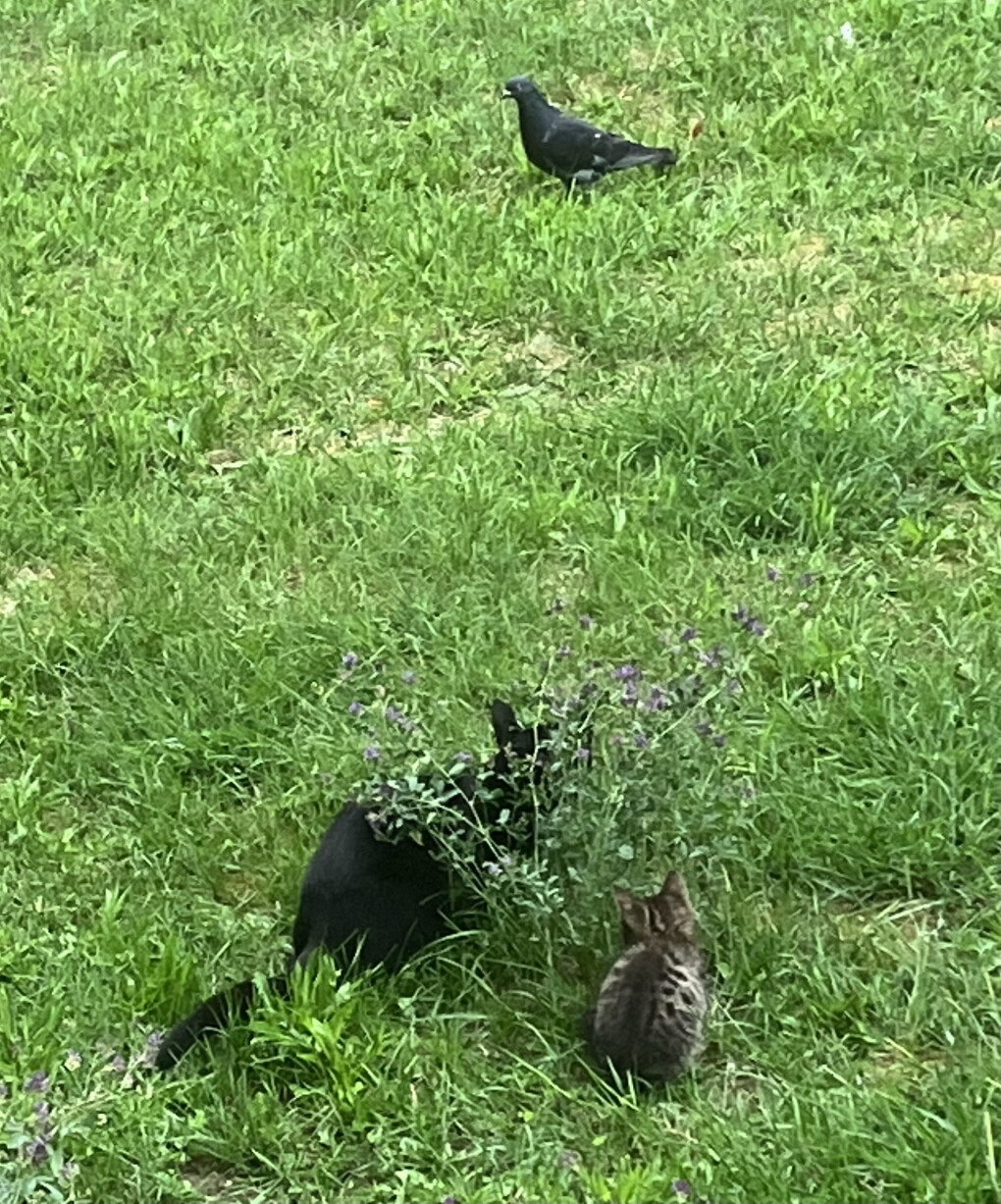 5767950.jpeg 5767950.jpeg