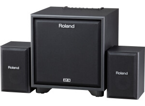Roland CM-220