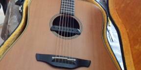 VENDS EN10  + PREAMP CT4-DX + TRIAX