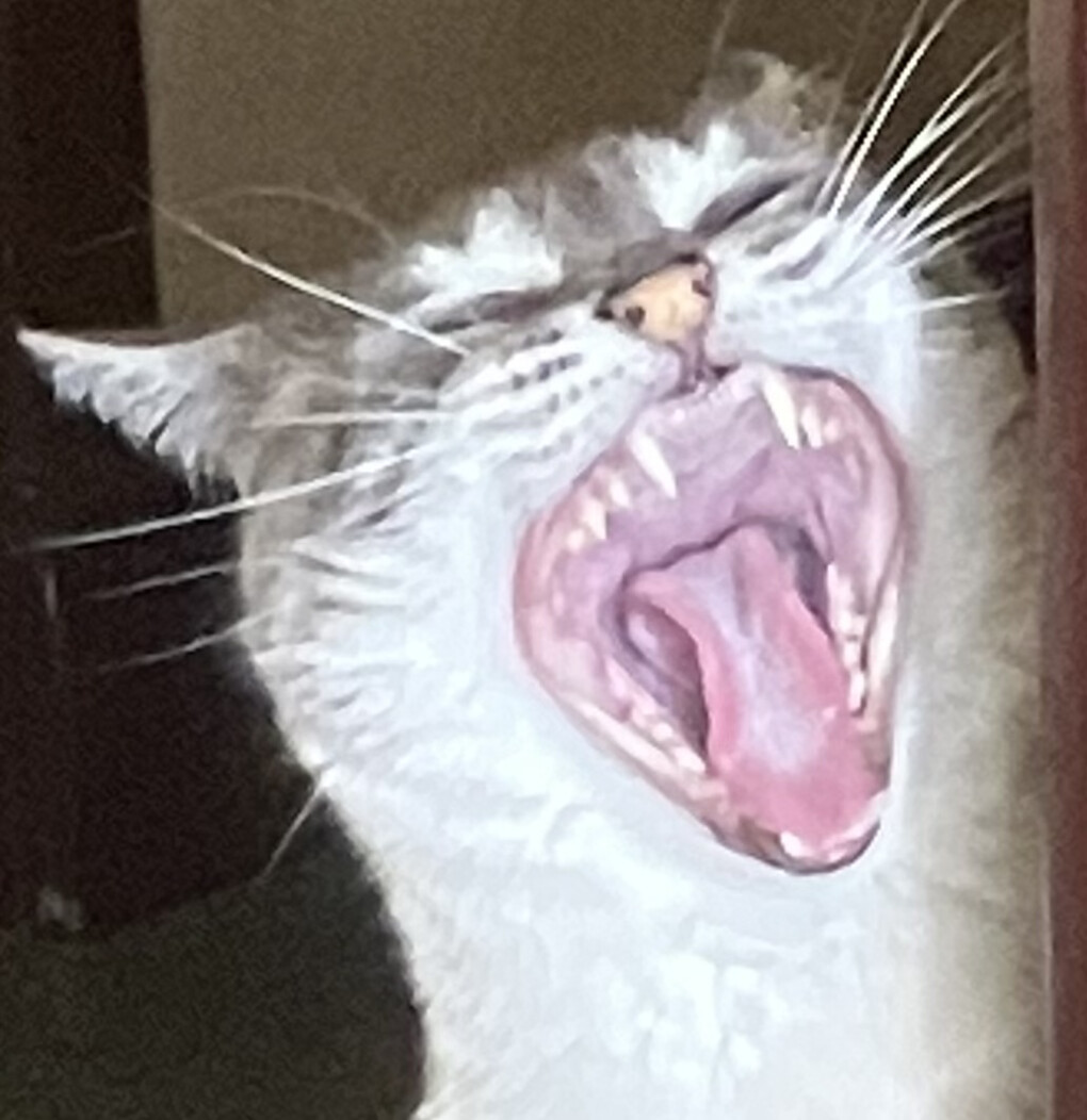 5768652.jpeg 5768652.jpeg