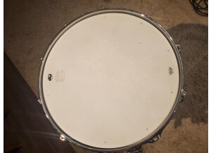DW Drums Aluminium Collector's 6.5x14” (75117)