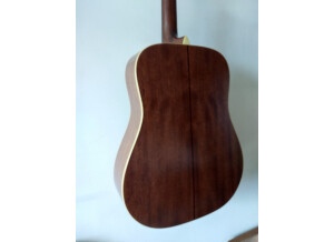 Cort Earth70 (56685)