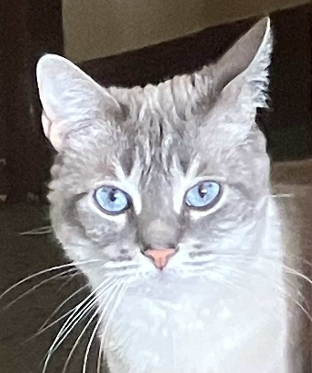 5770635.jpeg 5770635.jpeg