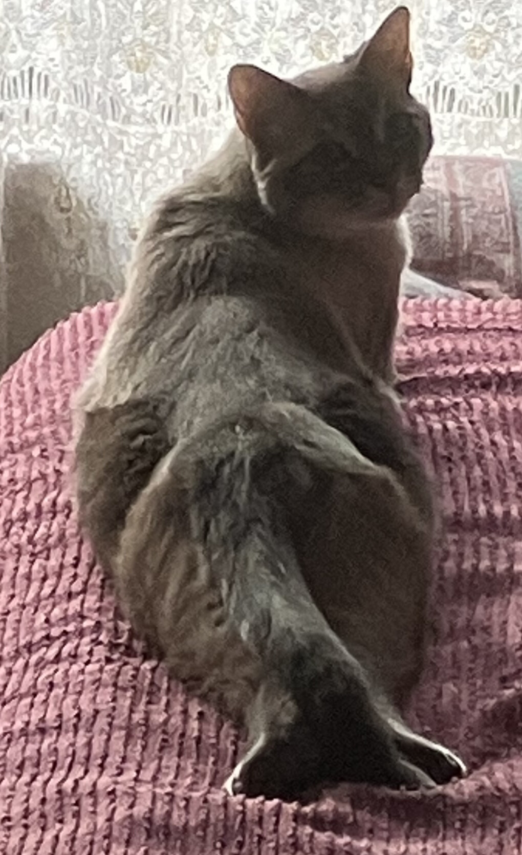 5770637.jpeg 5770637.jpeg