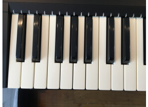 Native Instruments Komplete Kontrol S49 mk2 (41803)