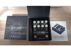 DSM & Humboldt Electronics Silver Linings (65601)