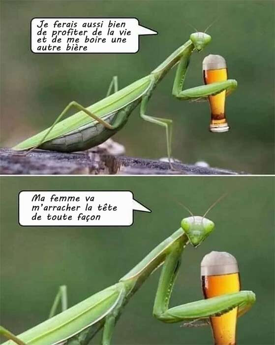 5771969.jpg 5771969.jpg