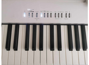 Roland FP-30X (56031)