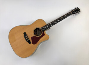 Gibson Hummingbird Rosewood AG 2018 (26374)