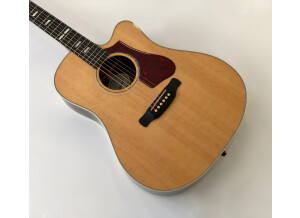 Gibson Hummingbird Rosewood AG 2018 (31291)