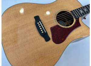 Gibson Hummingbird Rosewood AG 2018 (55538)