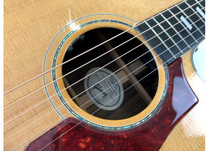 Gibson Hummingbird Rosewood AG 2018 (79429)