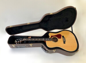Gibson Hummingbird Rosewood AG 2018 (75944)
