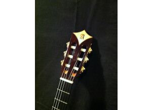 Alhambra Guitars Cross Over CS-3 CW E2