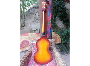 Epiphone Viola