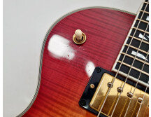 Gibson Les Paul Supreme (22334)