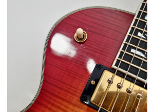 Gibson Les Paul Supreme (22334)