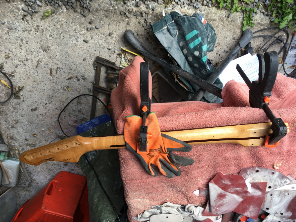 5774493.jpeg 5774493.jpeg