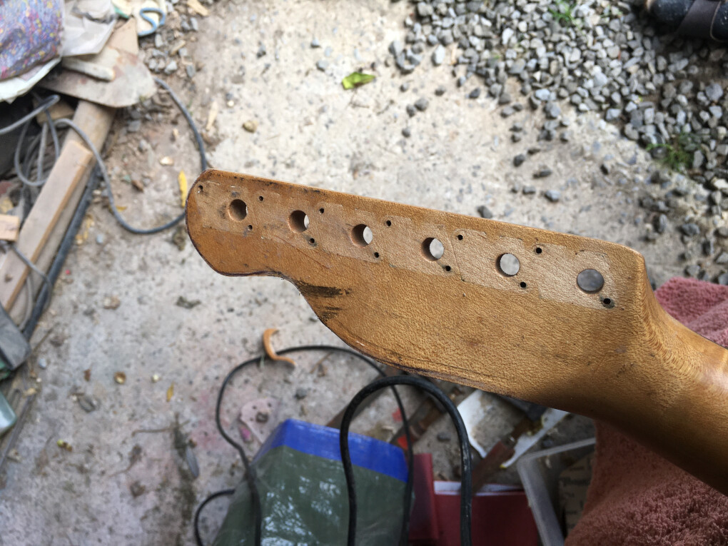 5774494.jpeg 5774494.jpeg