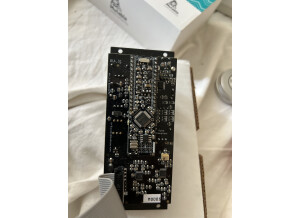 Noise Engineering Manis Iteritas (58454)