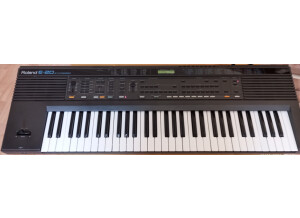 Roland E-20