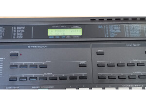 Roland E-20