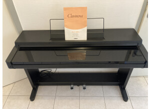 Yamaha Clavinova CLP-250