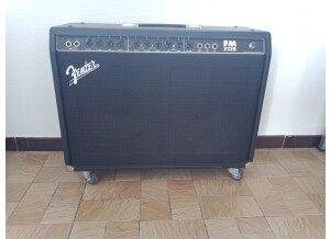 Fender FM 212R