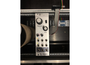 Mutable Instruments Ripples (22054)