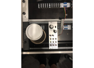Mutable Instruments Ripples (66184)