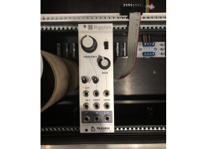 Mutable Instruments Ripples (39195)